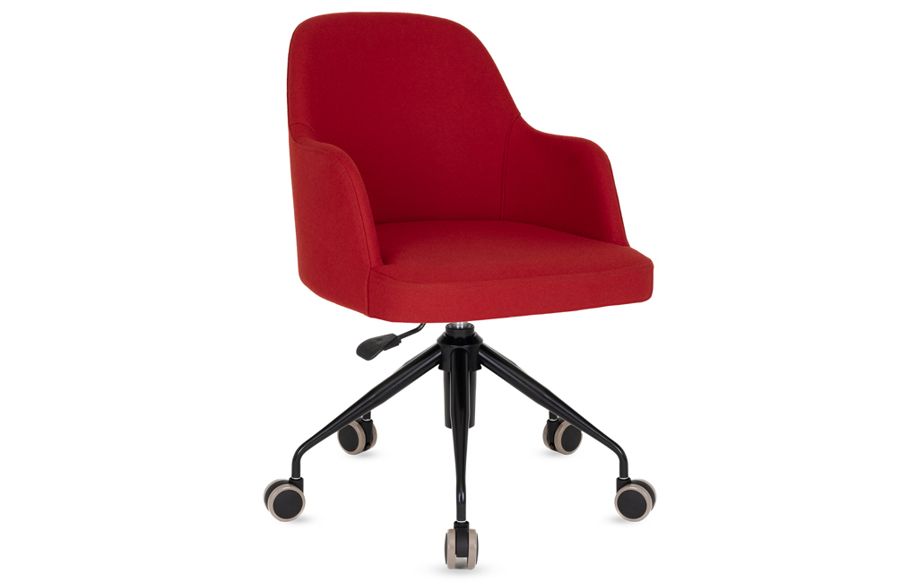 ZARİF 341